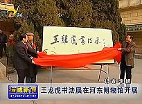 运城电视台新闻报道：王龙虎书法展在河东博物馆开展（视频）